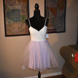 Windsor/ Tulle tutu dress (NWT)